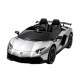24V Licensed Lamborghini Aventador Roadster Kids Ride-On Car with Remote Control
